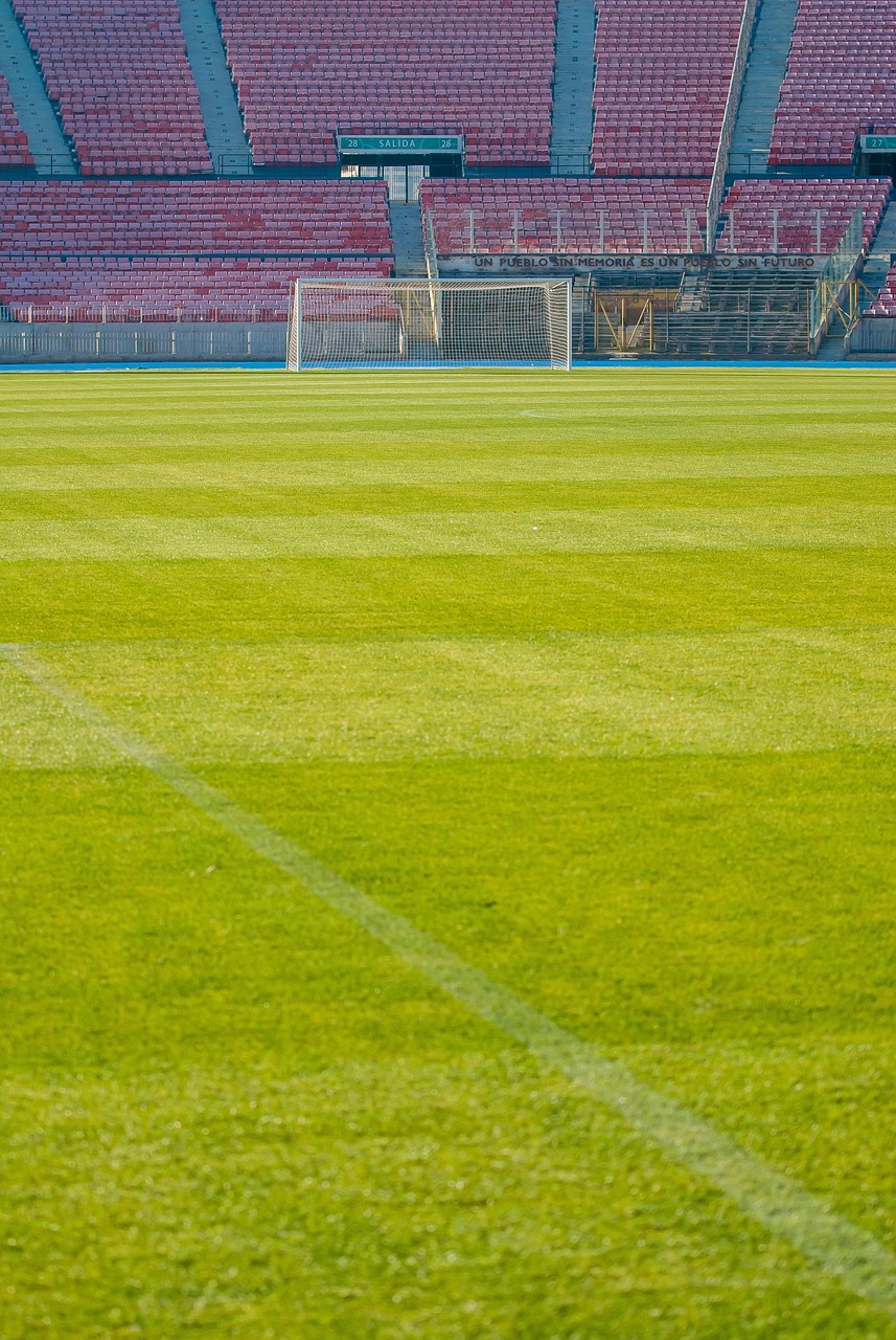 stadium, soccer, santiago, grass, sports, football stadium, public, football, tribune for the public, nature, olympic stadium, vacuum